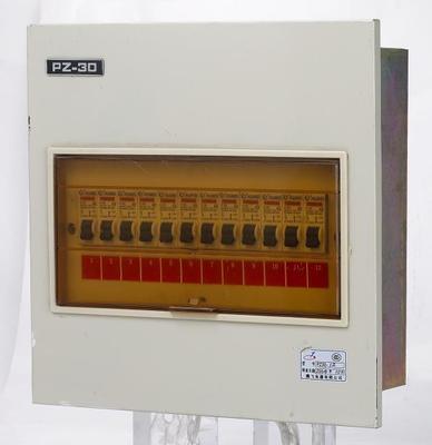【PZ30豪华型终端配电箱】价格,厂家,图片,配电箱,乐清市八电电气-